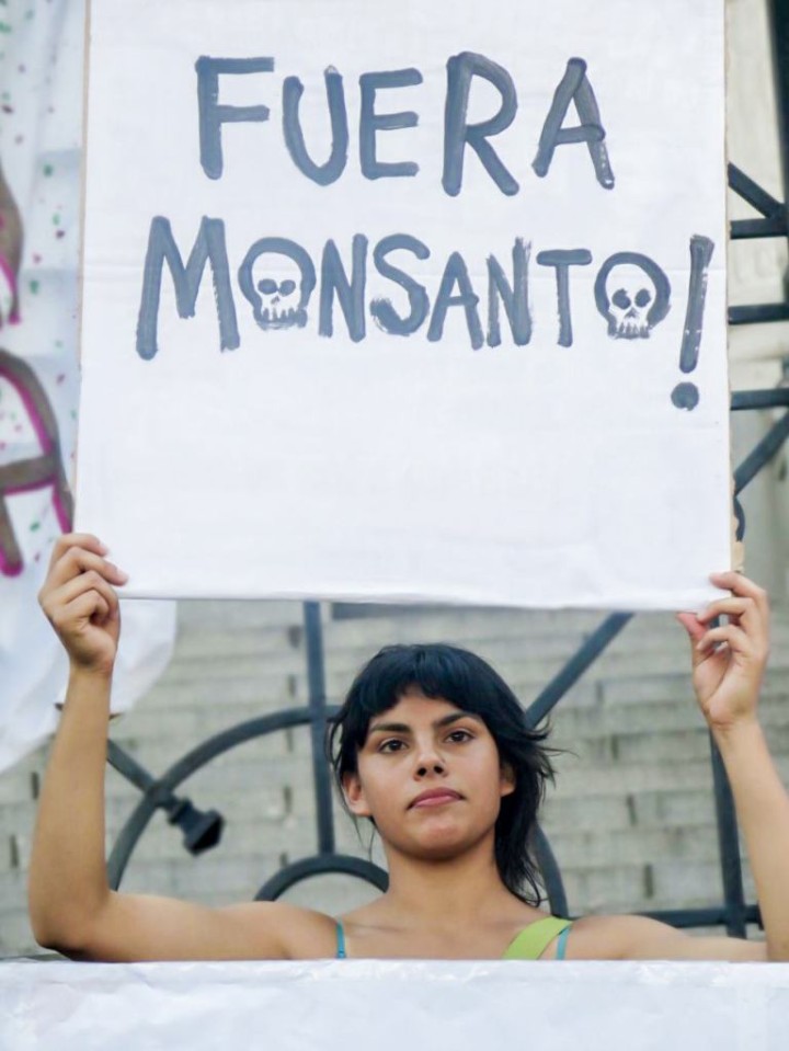 “Fuera Monsanto”, uno de los puntos de la convocatoria. Foto Facción Buenos Aires