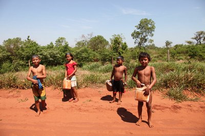 Indígenas acusam fazendeiros de "envenenamento"