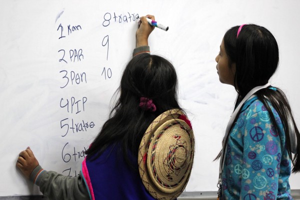 43 mujeres indigenas