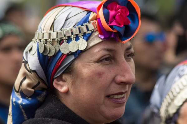 Marcha Mapuche_12_oct_2014_fotos de Ariel Nuñez (3)