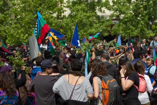 Marcha Mapuche_12_oct_2014_fotos de Ariel Nuñez (9)