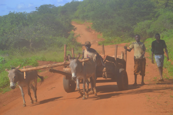 Un miliardo e mezzo di persone vive con meno di 1,25 dollari al giorno