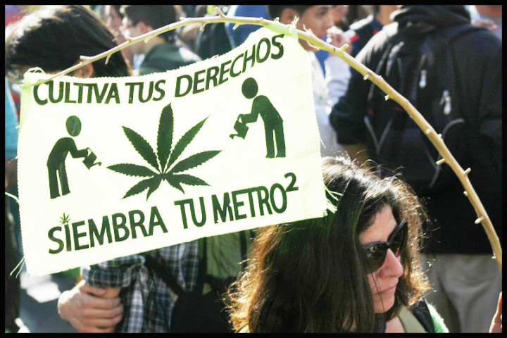 Marcha Legalización
