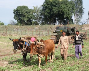 Army Hand over Demined land after army handed over the demined land at Brahman, Pallanwala and Channi Dewanun village   (1)