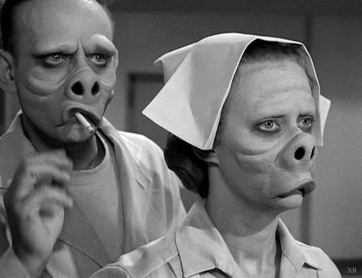 Revolution of the Eye: Modern Art and the Birth of American Television
