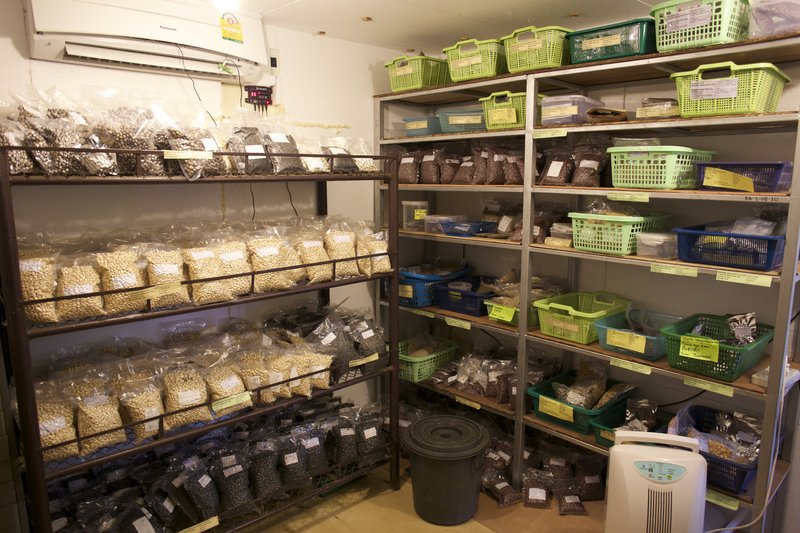 Seed storage in the tropics