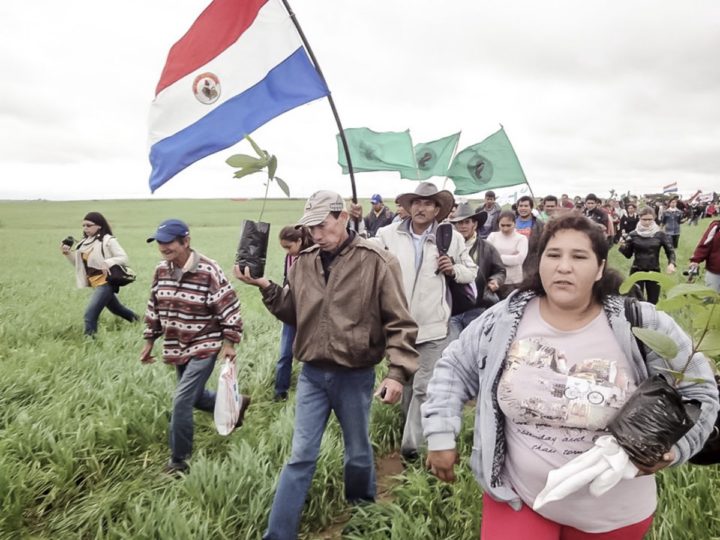 Farmers organization are still claiming that the lands being used by a corporate agrobusiness are state property. Photography: CigarraPy