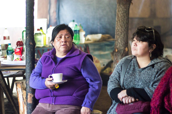 Mujeres Mapuches-Coyhaique-Chile-Fotos de Daniela Quinteros Rosas (1)