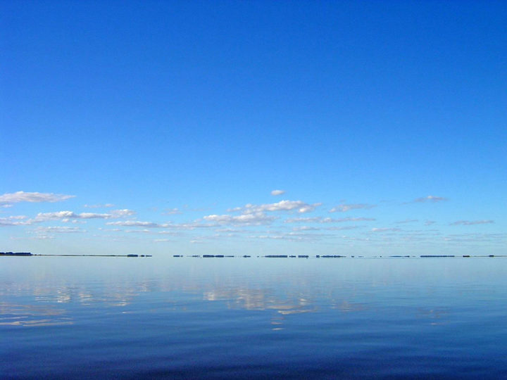 Laguna Cochicó (de Guaminí). Foto Luis Beltrán.