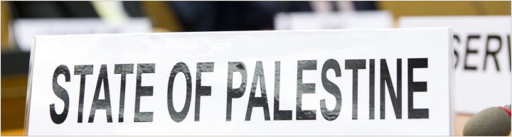 Foto extraída de artículo publicado en la RIDH titulado "El resultado del voto sobre Palestina en el Consejo de Seguridad: balance y perspectivas"