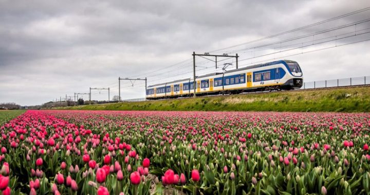 treni a vento olanda