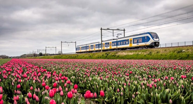 treni a vento olanda