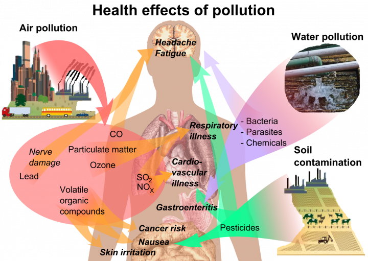 harmful-fossil-fuels-are-making-an-unlikely-comeback-in-the-uk