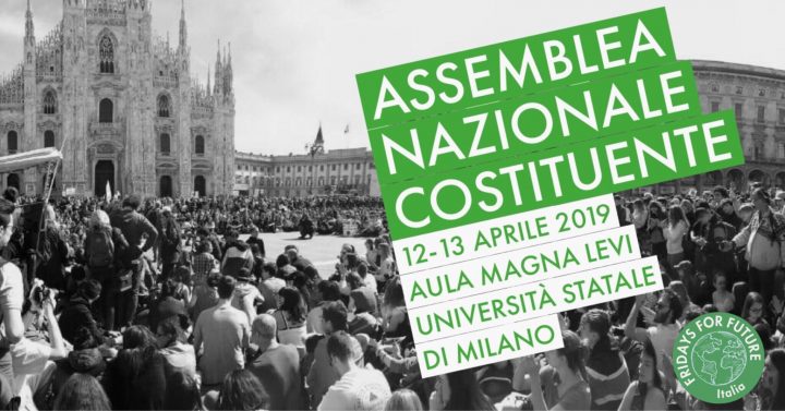 Assemblea Nazionale Costituente - Fridays for Future Italia