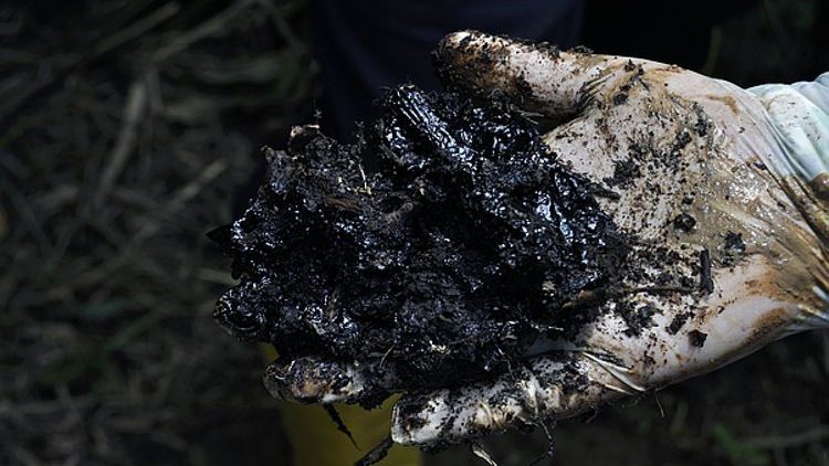 Ecuador - Verläßlichkeit verkauft