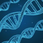Massives Projekt zu afrikanischer DNA soll die Wissenslücke über psychische Erkrankungen schließen