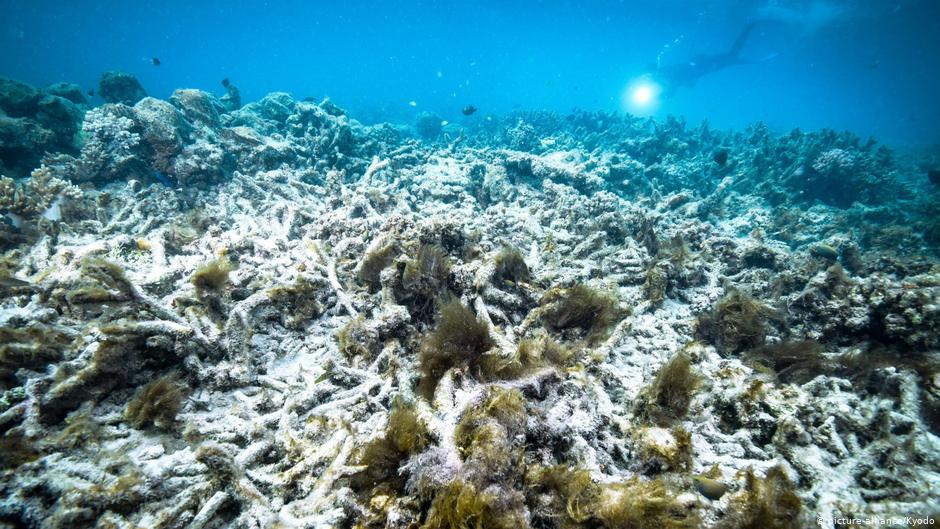 Der massive Verlust der Biodiversität ist für den Menschen so bedrohlich wie der Klimawandel Der massive Verlust der Biodiversität ist für den Menschen so bedrohlich wie der Klimawandel