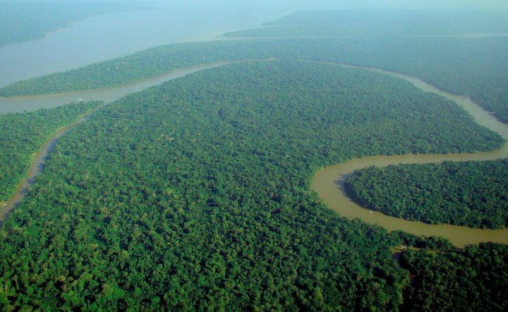 Il sinodo sull’Amazzonia