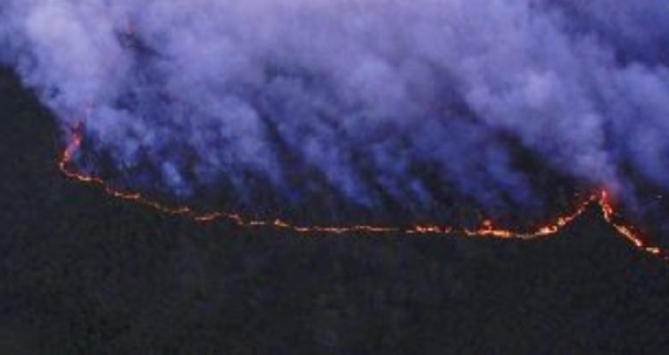Incendi in Siberia