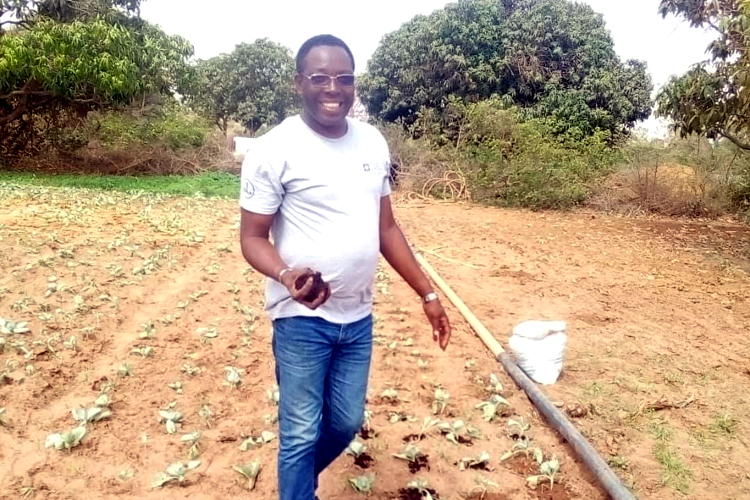 Sénégal  l'agriculture biologique au service de la société