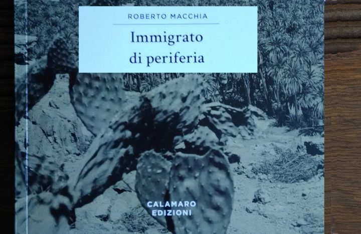 copertina libro Immigrato di periferia