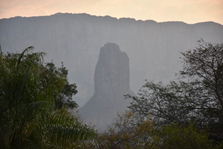 La Bolivie promeut une rencontre des pays touchés par les incendies en Amazonie