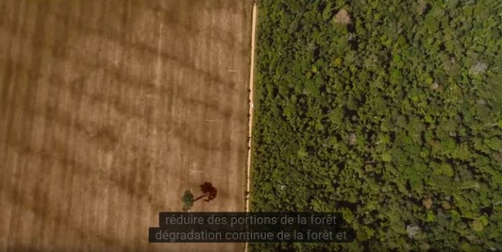 [Vidéo] Comprendre les incendies en Amazonie