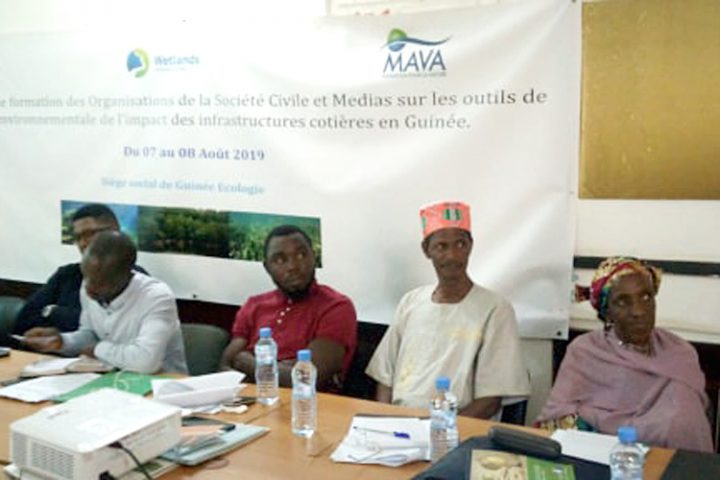 Comment impliquer la société civile et les médias dans la gestion environnementale en Guinée ?
