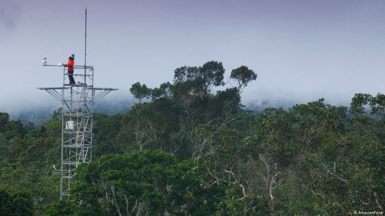Torre do projeto Amazon-Face na Amazônia: fase de campo do estudo sofre com falta de recursos