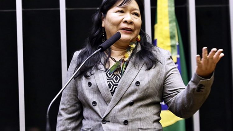 Jôenia Wapichana ist Anwältin und die erste indigene Abgeordnete im brasilianischen Parlament. Sie kämpft für indigene Rechte, Umweltschutz und Nachhaltigkeit, besonders im Amazons-Gebiet, ihrer Heimat, und ist dafür bereits mit zahlreichen Preisen ausgezeichnet worden. Ein Portrait.