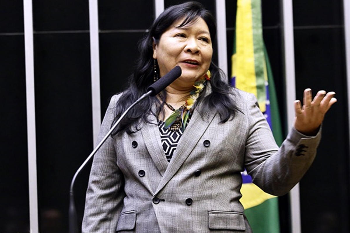 Joênia Wapichana, Primeira deputada indígena do Brasil