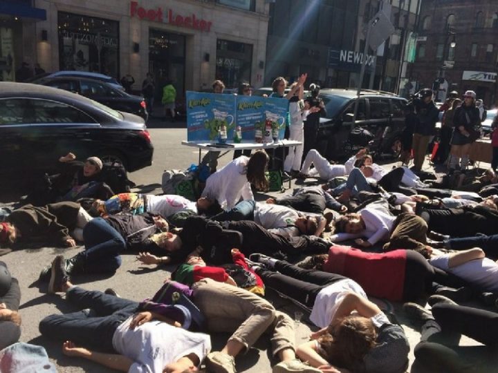 Extinction Rebellion au Québec pendant la semaine de rébellion internationale