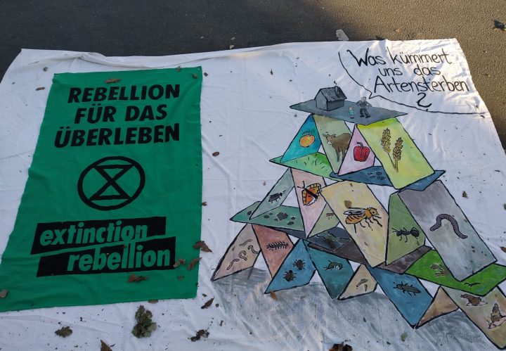 Extinction Rebellion in Berlin - Gewaltfreiheit an erster Stelle