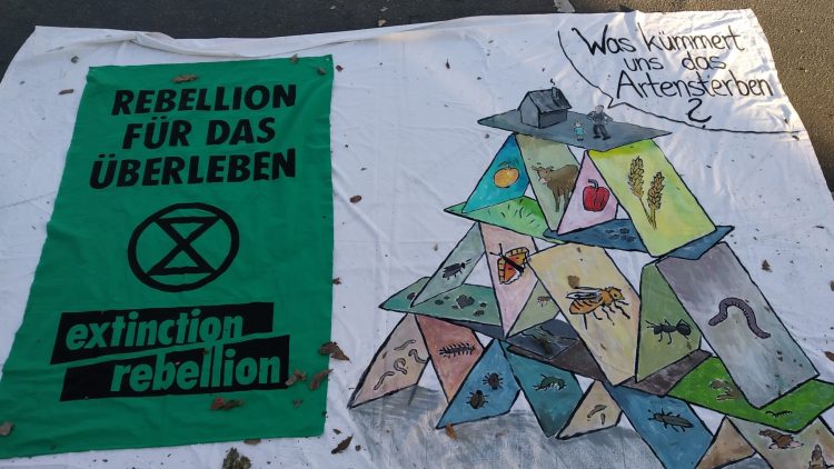 Extinction Rebellion in Berlin - Gewaltfreiheit an erster Stelle