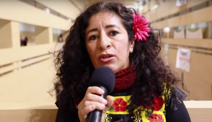 Nashieeli Valencia Núñez durante la Cumbre Social por el Clima