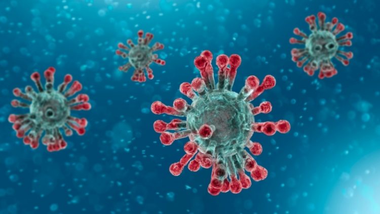 Curiosités pandémiques : les leçons d’un virus dans le monde