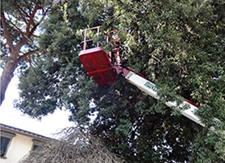 Carrello elevatore in Via Lungo L'Africo a Firenze