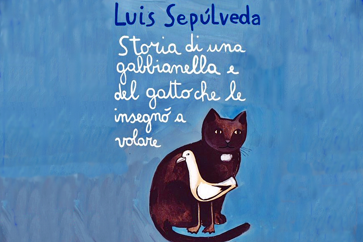 Scheda Libro La Gabbianella E Il Gatto