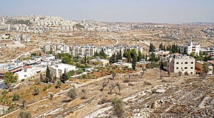 PAX fordert die EU dazu auf, die israelische Annektierung von Teilen des Westjordanlands zu stoppen