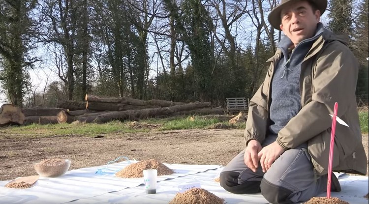 « Les semences libres de Nicolas Supiot, le paysan boulanger »