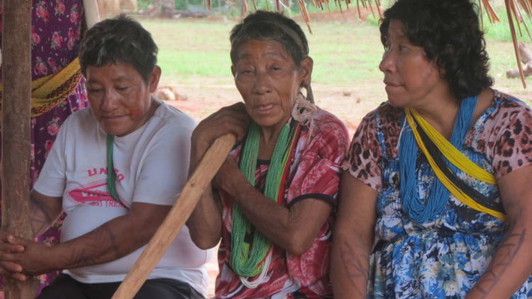 Corona und Indigene: Kürzlich kontaktiertes Volk hat höchste Infektionsrate