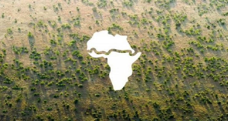 Die UN fordert mehr Unterstützung für die grüne Mauer Afrikas
