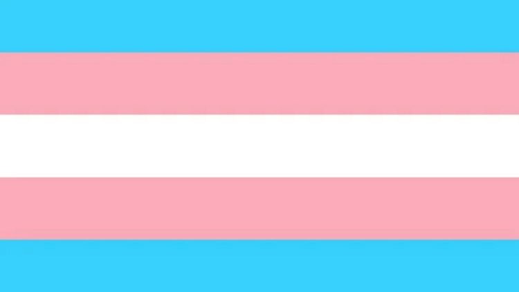 Bandiera transgender