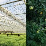 Changement de paradigme : Permaculture contre AgTech