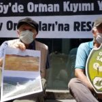 Gözaltına alınan Kuzey Ormanları Savunması aktivistleri serbest bırakıldı