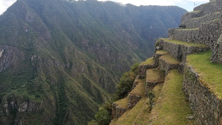 terrazas de Machu Pichu - Alejandra Salazar