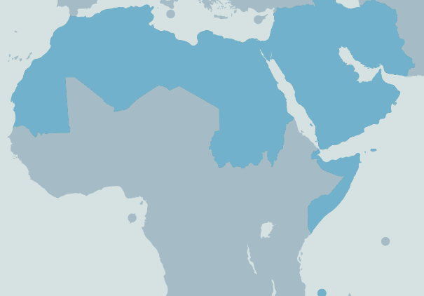 Countries of the zone free of WMD in the Middle East