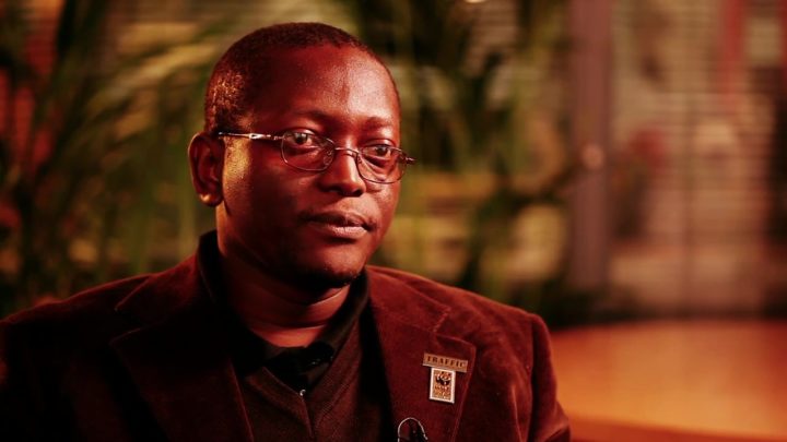 Denis Mahonghol, Directeur du Programme Afrique Centrale de TRAFFIC