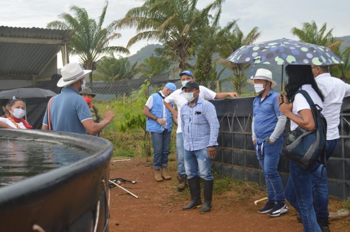 Intercambio de excombatientes de FARC en Colombia