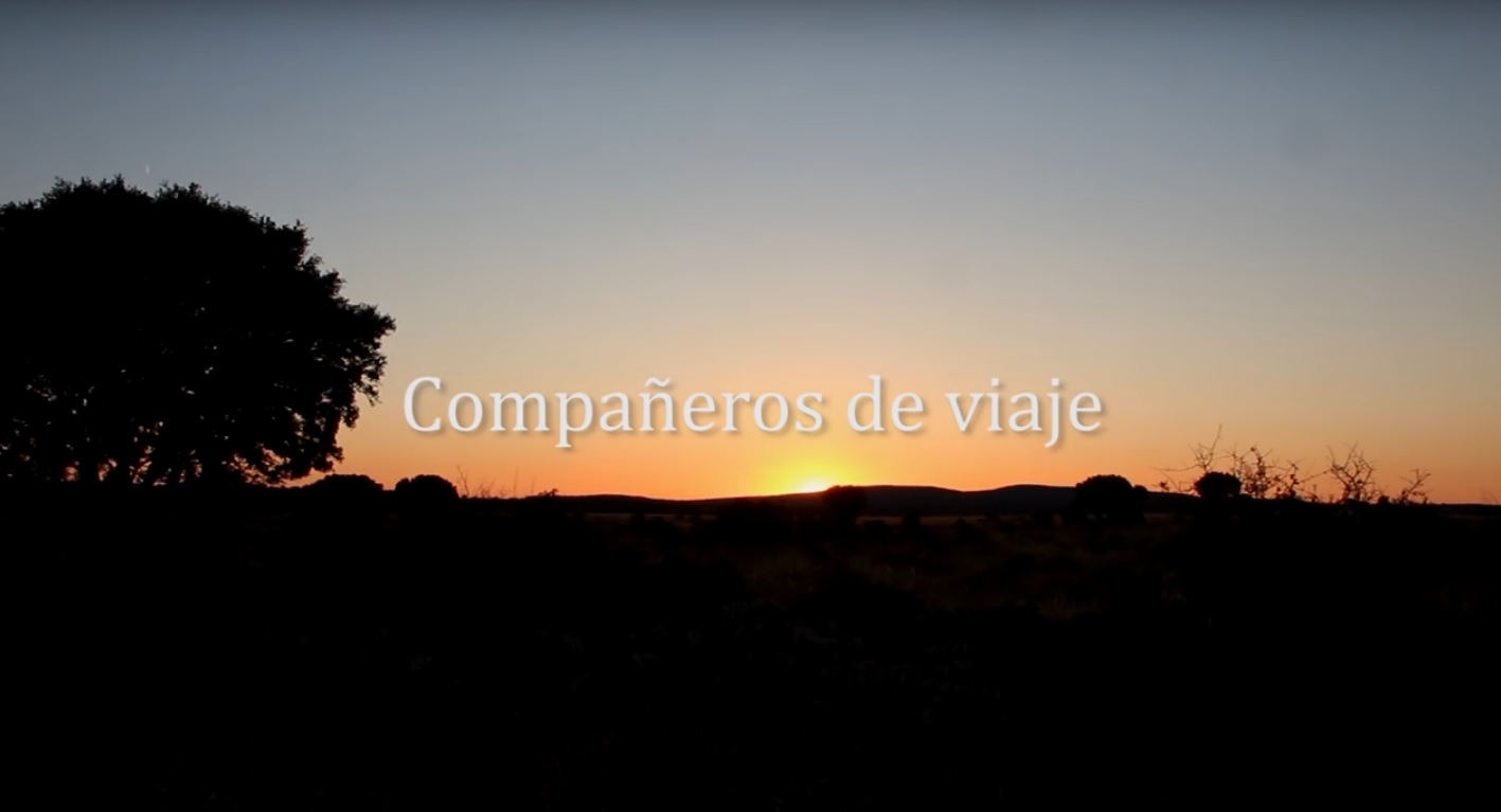 The Madrid Film and Human Rights Festival select documentaries promoted by Pressenza - Vimarsana News